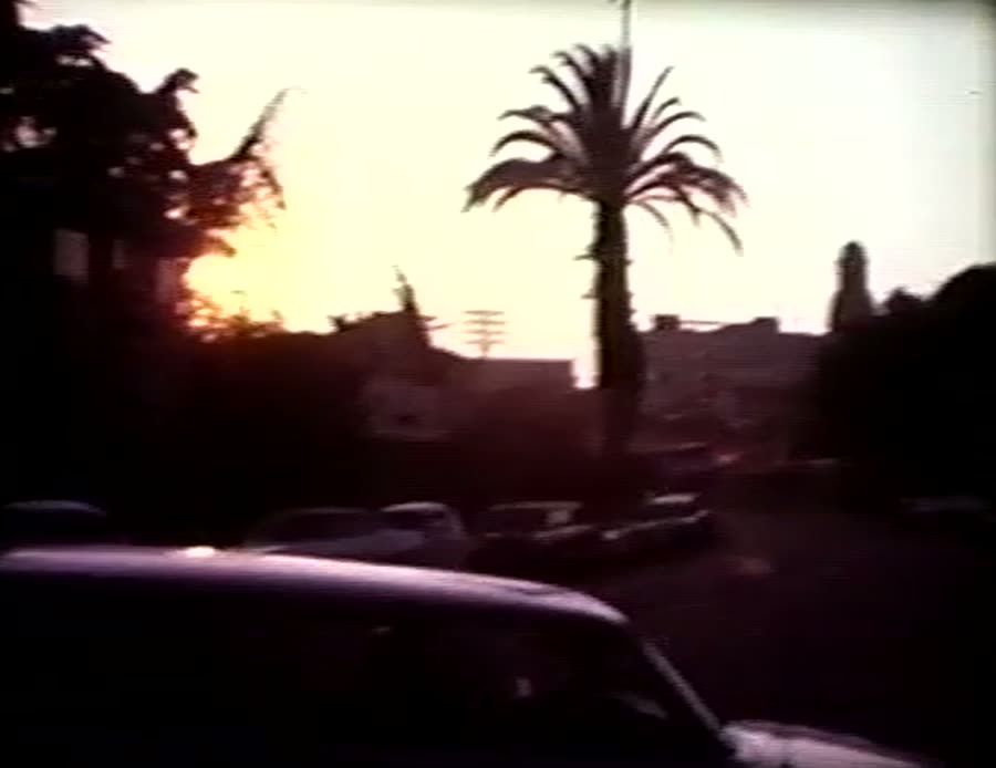 A palm tree silhouetted against a late sunset over parked cars